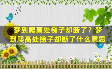 梦到爬高处梯子却断了？梦到爬高处梯子却断了什么意思