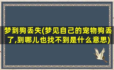 梦到狗丢失(梦见自己的宠物狗丢了,到哪儿也找不到是什么意思)