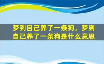 梦到自己养了一条狗，梦到自己养了一条狗是什么意思