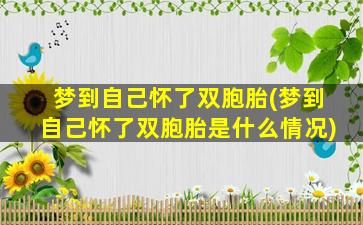 梦到自己怀了双胞胎(梦到自己怀了双胞胎是什么情况)