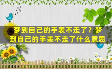 梦到自己的手表不走了？梦到自己的手表不走了什么意思