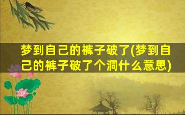 梦到自己的裤子破了(梦到自己的裤子破了个洞什么意思)