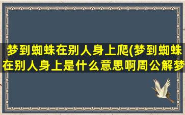 梦到蜘蛛在别人身上爬(梦到蜘蛛在别人身上是什么意思啊周公解梦)