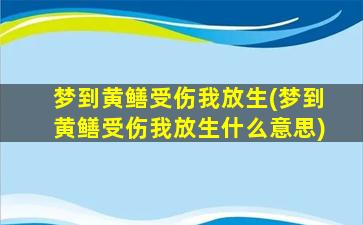 梦到黄鳝受伤我放生(梦到黄鳝受伤我放生什么意思)