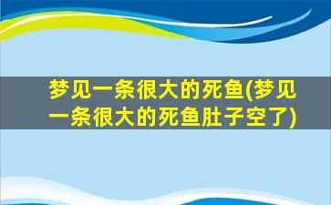 梦见一条很大的死鱼(梦见一条很大的死鱼肚子空了)