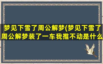 梦见下雪了周公解梦(梦见下雪了周公解梦装了一车我推不动是什么意思)