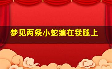 梦见两条小蛇缠在我腿上