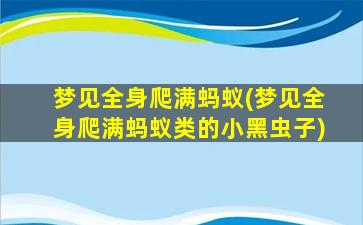 梦见全身爬满蚂蚁(梦见全身爬满蚂蚁类的小黑虫子)