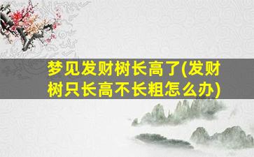 梦见发财树长高了(发财树只长高不长粗怎么办)