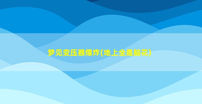 梦见变压器爆炸(地上全是脑花)