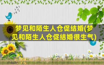 梦见和陌生人仓促结婚(梦见和陌生人仓促结婚很生气)