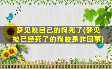 梦见咬自己的狗死了(梦见被已经死了的狗咬是咋回事)