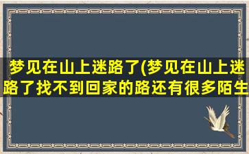 梦见在山上迷路了(梦见在山上迷路了找不到回家的路还有很多陌生人在走路)