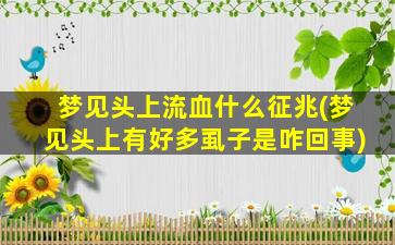 梦见头上流血什么征兆(梦见头上有好多虱子是咋回事)