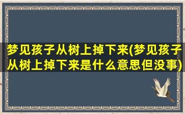 梦见孩子从树上掉下来(梦见孩子从树上掉下来是什么意思但没事)