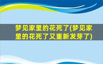 梦见家里的花死了(梦见家里的花死了又重新发芽了)