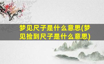 梦见尺子是什么意思(梦见捡到尺子是什么意思)