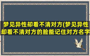 梦见异性却看不清对方(梦见异性却看不清对方的脸能记住对方名字)