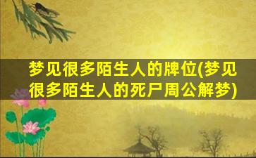 梦见很多陌生人的牌位(梦见很多陌生人的死尸周公解梦)