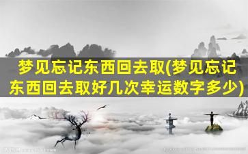 梦见忘记东西回去取(梦见忘记东西回去取好几次幸运数字多少)