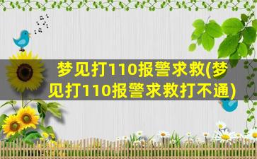 梦见打110报警求救(梦见打110报警求救打不通)