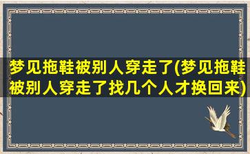 梦见拖鞋被别人穿走了(梦见拖鞋被别人穿走了找几个人才换回来)