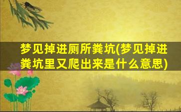 梦见掉进厕所粪坑(梦见掉进粪坑里又爬出来是什么意思)