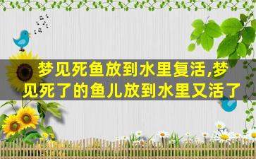 梦见死鱼放到水里复活,梦见死了的鱼儿放到水里又活了