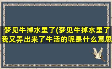 梦见牛掉水里了(梦见牛掉水里了我又弄出来了牛活的呢是什么意思)