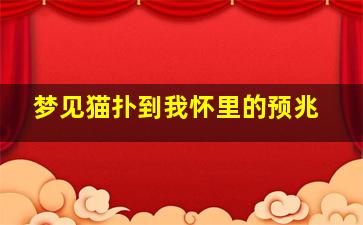 梦见猫扑到我怀里的预兆