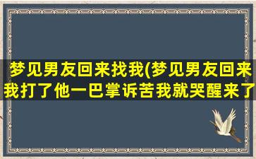 梦见男友回来找我(梦见男友回来我打了他一巴掌诉苦我就哭醒来了)