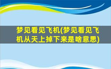 梦见看见飞机(梦见看见飞机从天上掉下来是啥意思)