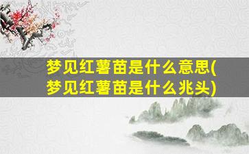 梦见红薯苗是什么意思(梦见红薯苗是什么兆头)