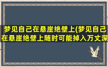 梦见自己在悬崖绝壁上(梦见自己在悬崖绝壁上随时可能掉入万丈深渊)