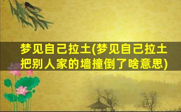 梦见自己拉土(梦见自己拉土把别人家的墙撞倒了啥意思)