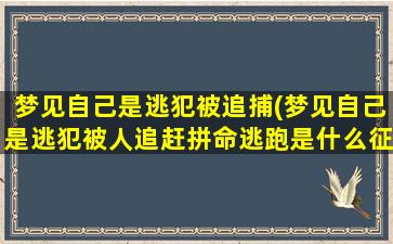 梦见自己是逃犯被追捕(梦见自己是逃犯被人追赶拼命逃跑是什么征兆)