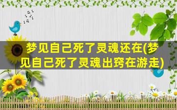 梦见自己死了灵魂还在(梦见自己死了灵魂出窍在游走)