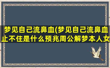 梦见自己流鼻血(梦见自己流鼻血止不住是什么预兆周公解梦本人女2020)