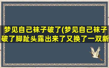 梦见自己袜子破了(梦见自己袜子破了脚趾头露出来了又换了一双新的)