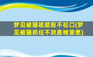 梦见被猫咬屁股不松口(梦见被猫抓住不放是啥意思)