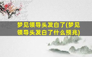 梦见领导头发白了(梦见领导头发白了什么预兆)