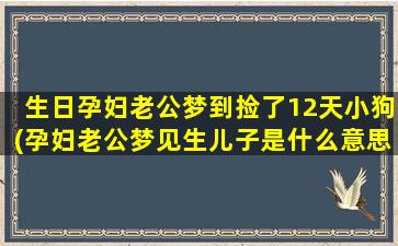 生日孕妇老公梦到捡了12天小狗(孕妇老公梦见生儿子是什么意思)