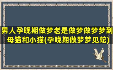 男人孕晚期做梦老是做梦做梦梦到母猫和小猫(孕晚期做梦梦见蛇)