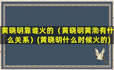 黄晓明靠谁火的（黄晓明黄渤有什么关系）(黄晓明什么时候火的)